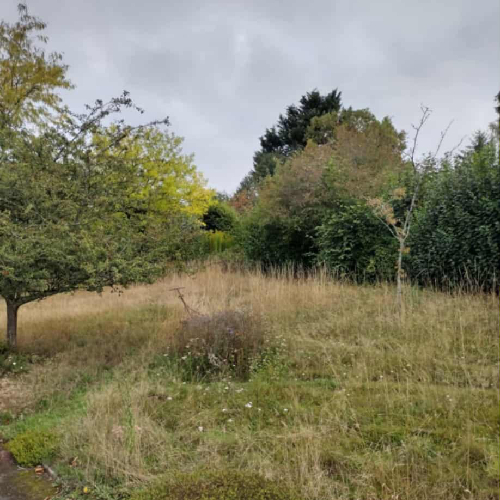 New Project (33)