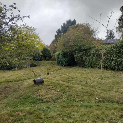 New Project (34)