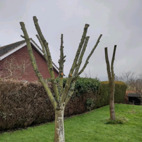 New Project (36)